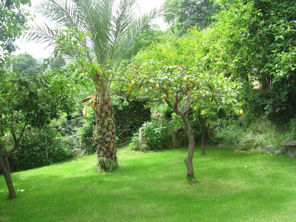 Le Roverelle Ilbono Exterior photo